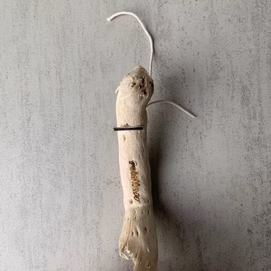 ラミネートフローリング シェブロンフロア 12mm 加工木材 家の装飾用 床暖房利用可能 ショップホーム モーデンスタイル ラミネートフローリング